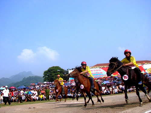 Coming to Bac Ha to see horse race